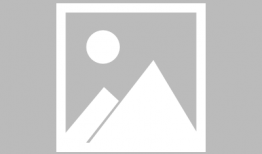 野外钓鱼视频大全,视频大全中的钓鱼奇遇记